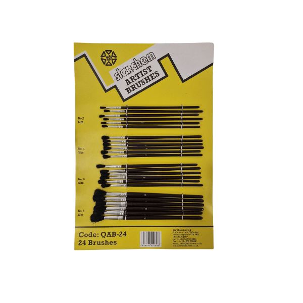 Card of 24 Quality Artist Brushes Nebula Paint Products Limited