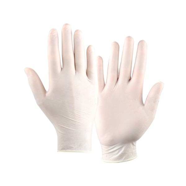 MP Latex Gloves No Talc Size Large (Box of 100)